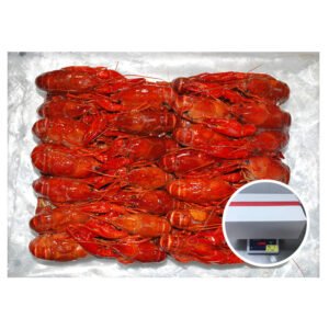 China Factory Direct Sale Cheap Price