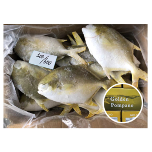 China Farm Raised Whole Round Golden