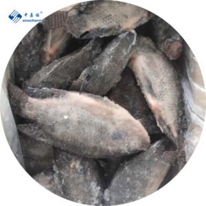China Frozen Cleaned Gutted Scaled Tilapia