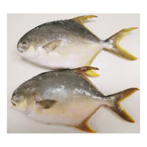 China Gold Pompano Pomfret Frozen Golden
