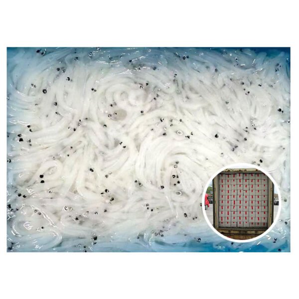 China High Quality Frozen Silver Fish