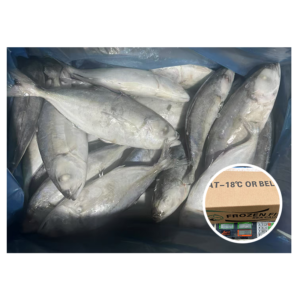 China Horse Mackerel Fish Exporters 200