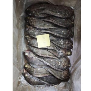 China Origin Frozen Tilapia Whole Round