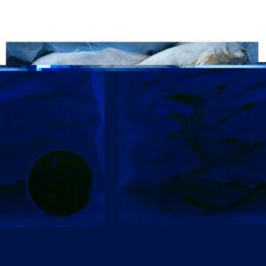 China Origin Seafood Frozen Yellowtail Fish