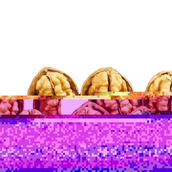 China Raw Walnut Peeled Walnut Kernel