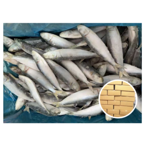 China Supplier Sardines Wholesale Fish 100