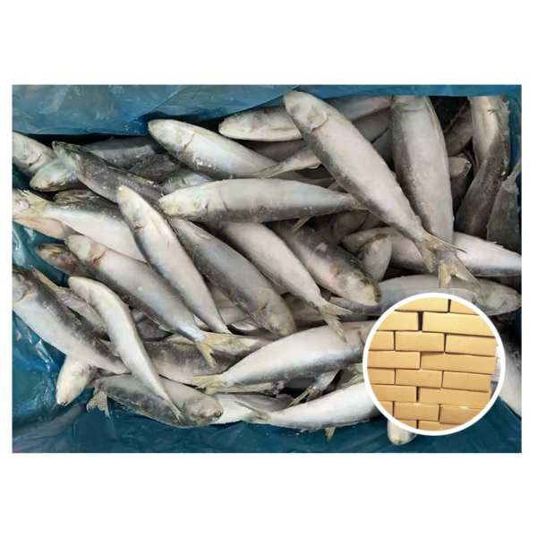 China Supplier Sardines Wholesale Fish 100