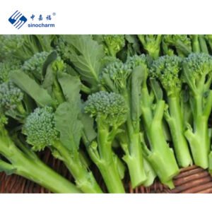 China Top ranking Products Worm Free
