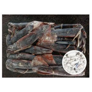 China Wholesale Price Products Mexico 500