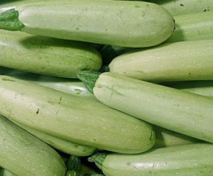 China Zucchini Dry Storage 12 Month