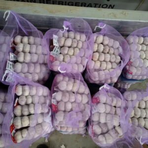 Chinees Fresh White Garlic Wholesale Prices