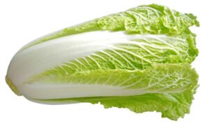 Chinese Cabbage — premium quality