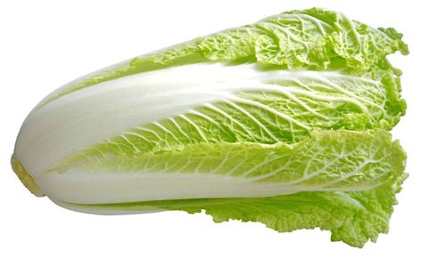 Chinese Cabbage Chinese Cabbage — premium quality