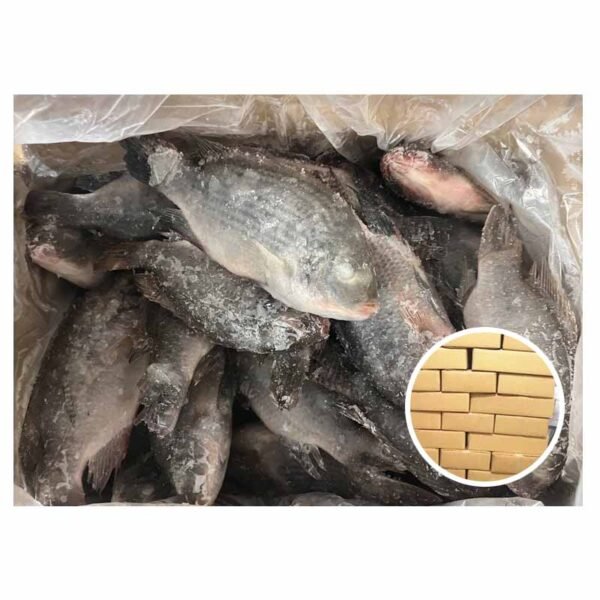 Chinese Farming Fish Small Size IQF Chinese Farming Fish Small Size IQF