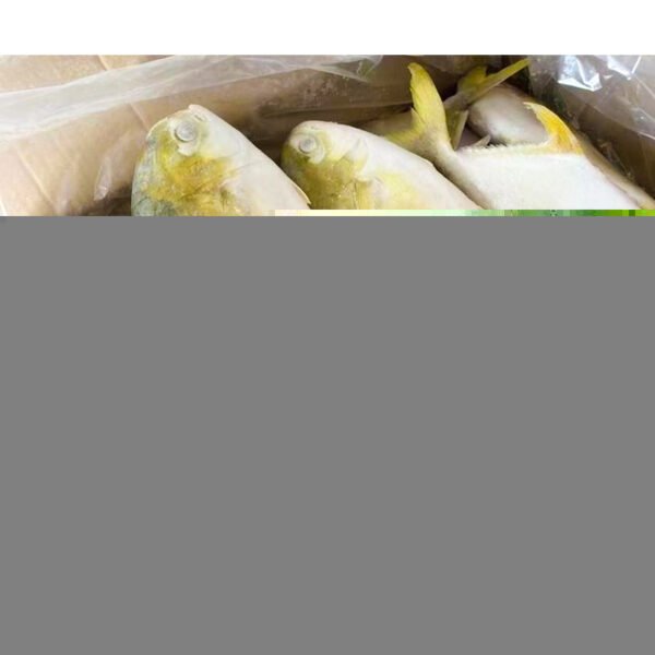 Chinese Seafoods Red Drum Seafood and