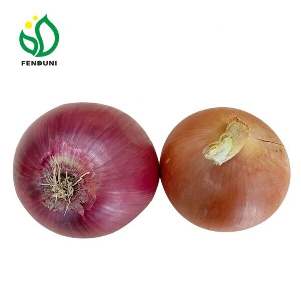 Chinese Wholesale Price Fresh Red Yellow