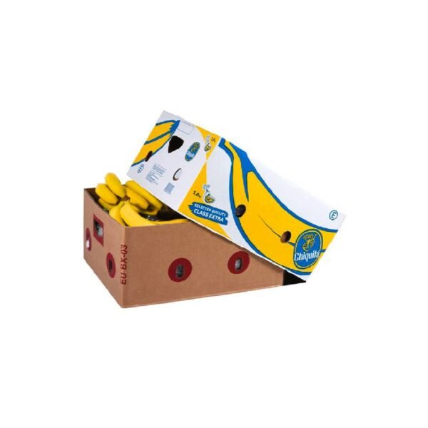 Chiquita Banana Ecuador 13 kg Box — premium quality