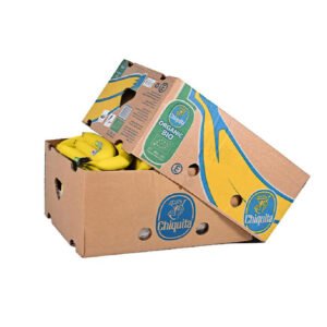 Chiquita Banana Organic Ecuador 18 kg Box — premium quality