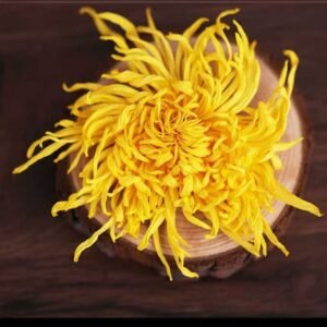 Chrysanthemum