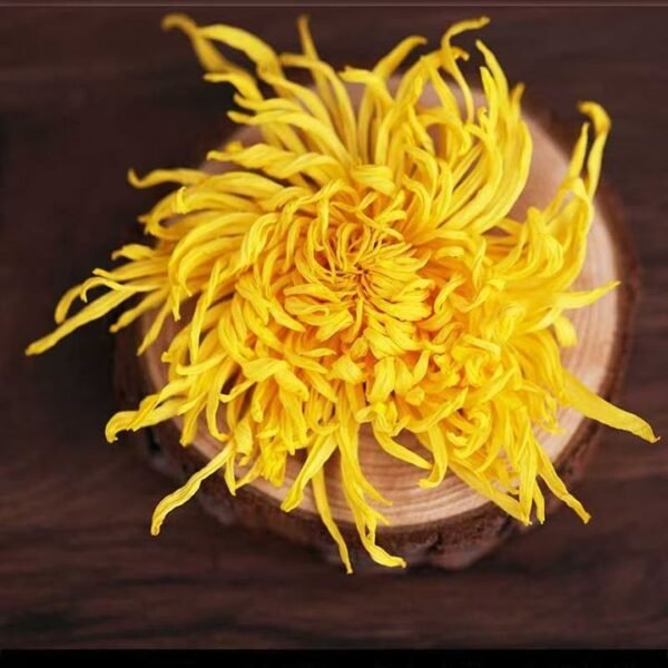 Chrysanthemum