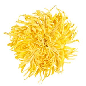 Chrysanthemum Natural Flavor Dried Chrysanthemum Tea