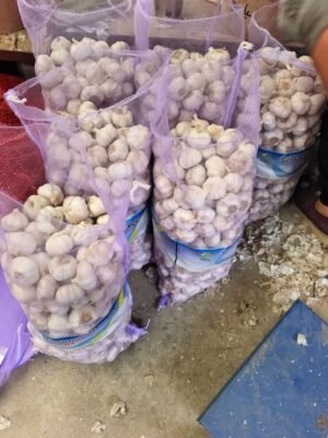 CIF Price to Valparaiso Chile of
