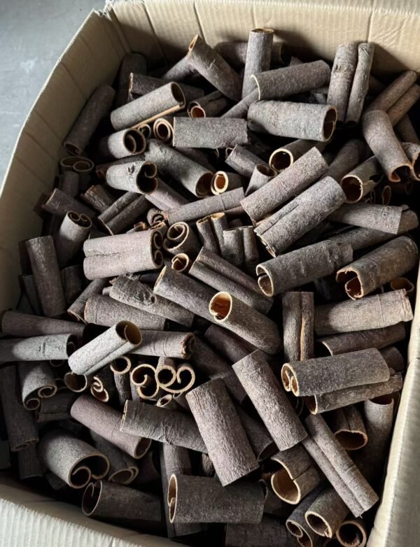 Cigarette Cassia Sticks