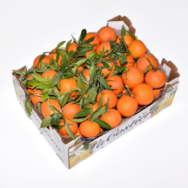 Clementine With Leaf Mandarin Box Clementine With Leaf Mandarin Box — premium quality