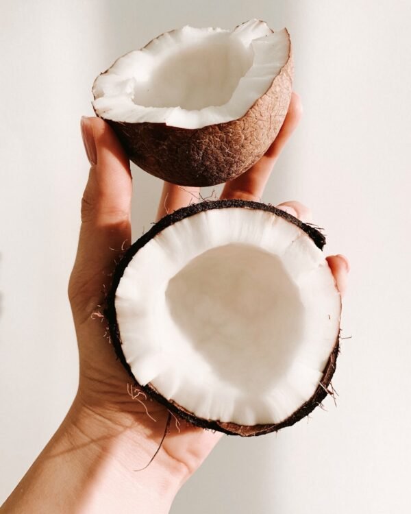 Coconut Coconut — premium quality