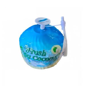 Coconut Vietnam 500g Piece — premium quality