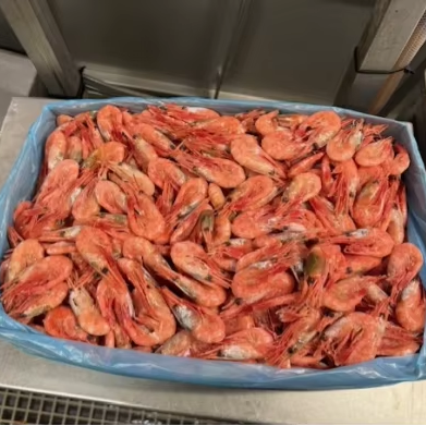 Cold Water Prawns Pandalus Borealis Prawns