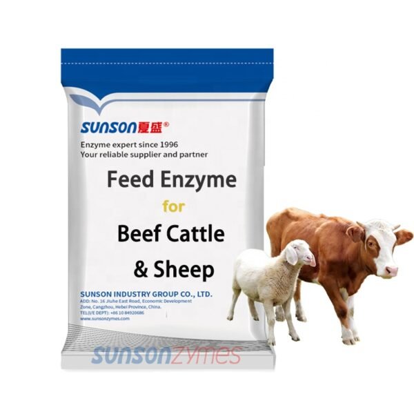 Compound Enzyme for Beef Cattle Sheep