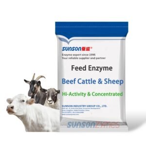 Concentrated Compound Enzyme for Beef Cow