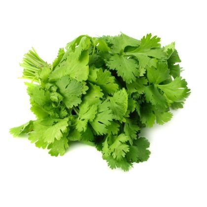 Coriander Leaves Dhania Coriander Leaves Dhania — premium quality