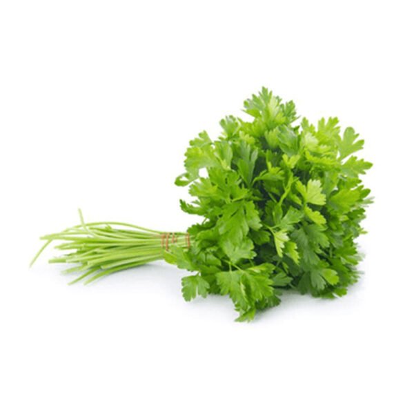 Coriander Leaves Loose — premium quality