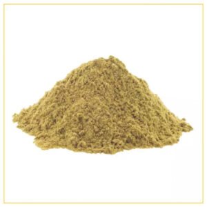 Coriander Powder — premium quality