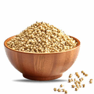Coriander Seeds — premium quality