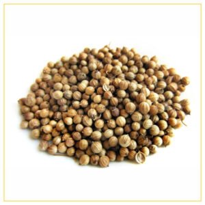 Coriander Seeds Ndash The Nuts Supermarket Llc — premium quality