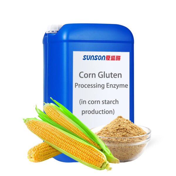 Corn Gluten Processing Enzyme in Corn