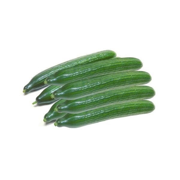 Cucumber Holland — premium quality
