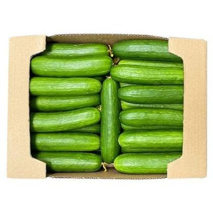 Cucumber Cucumber — premium quality
