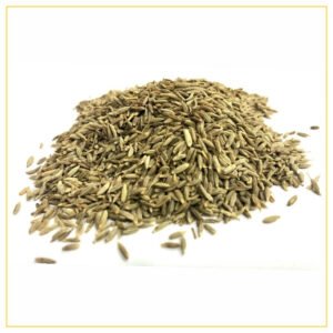 Cumin Seeds Ndash The Nuts Supermarket Llc — premium quality