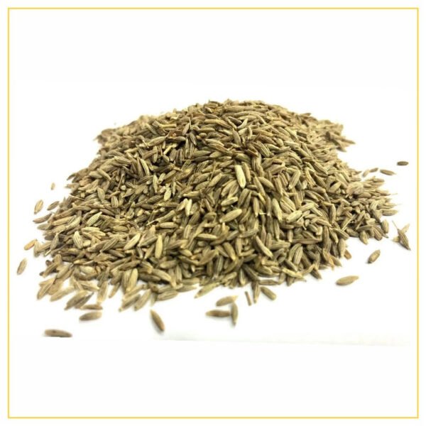Cumin Seeds Ndash The Nuts Supermarket Llc Cumin Seeds Ndash The Nuts Supermarket Llc — premium quality