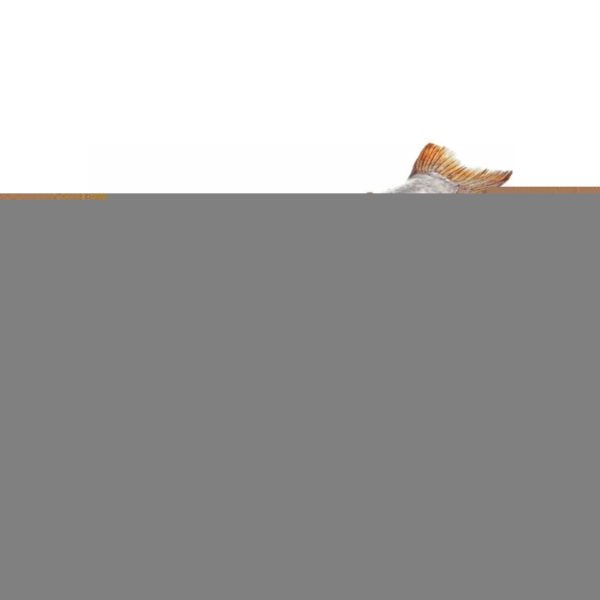 Custom Brand Skin On Whole Headless