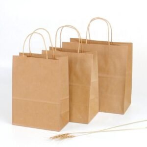 Custom Printing Kraft Paper Bag Shopping