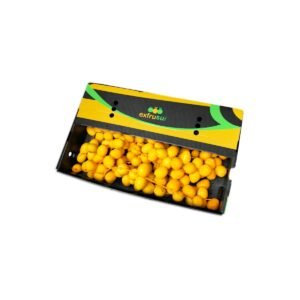 Dates Bahri Peru 4 5 kg Box — premium quality