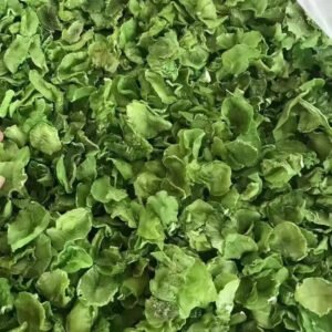 Dehydrated Lettuce Stem Slices