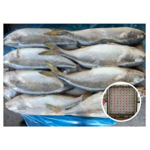 Direct Source China Origin Frozen Fish