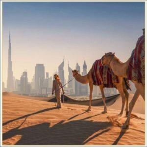 Discover Dubai 39 S Hidden Gem The Nuts Supermarket In Deira — premium quality