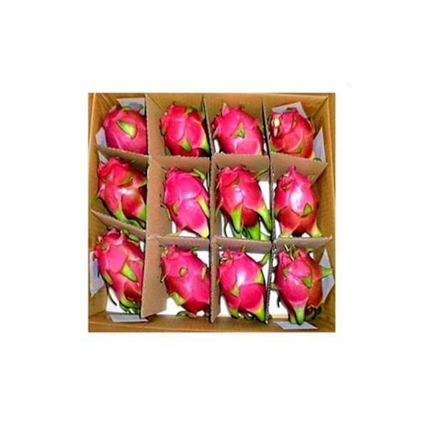 Dragon Fruit Red Box — premium quality
